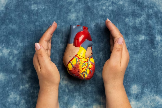 Что принимать при дистрофии левого желудочка сердца