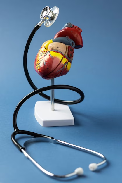 Euro Med Online | Что принимать при дистрофии левого желудочка сердца